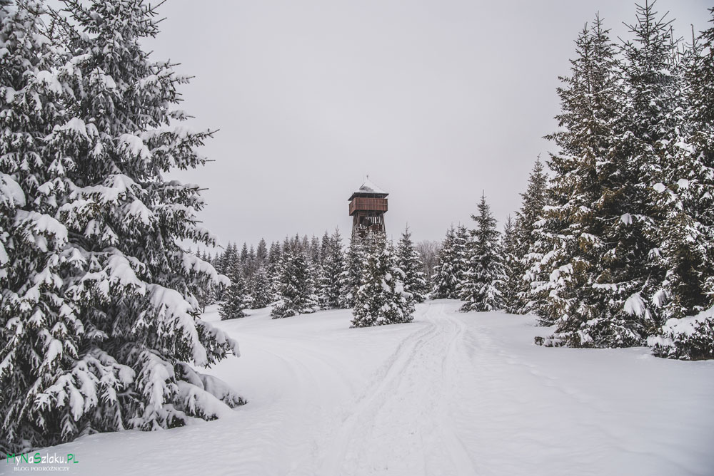 Wycieczka na dwie wieże widokowe gminy Ochotnica Dolna - Magurki i zachód słońca na Gorcu.