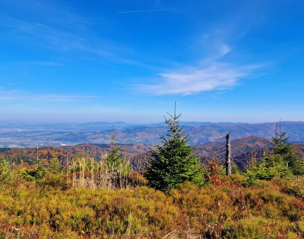 GSB na raty Etapy XII i XIII. Wycieczka dwudniowa z noclegiem na Przehybie - Otwarcie Sezonu Turystycznego w Małopolsce.