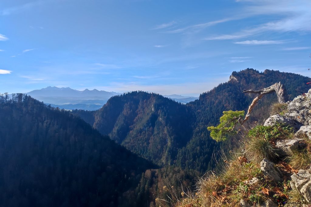 Wycieczka w Pieniny Właściwe i na Lawendowe Wzgórza w Szczawnicy